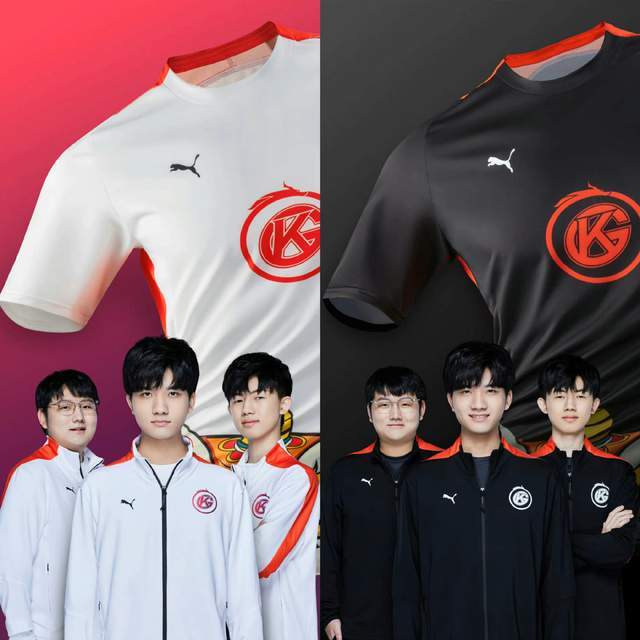 拓展的高度 拓展的高度